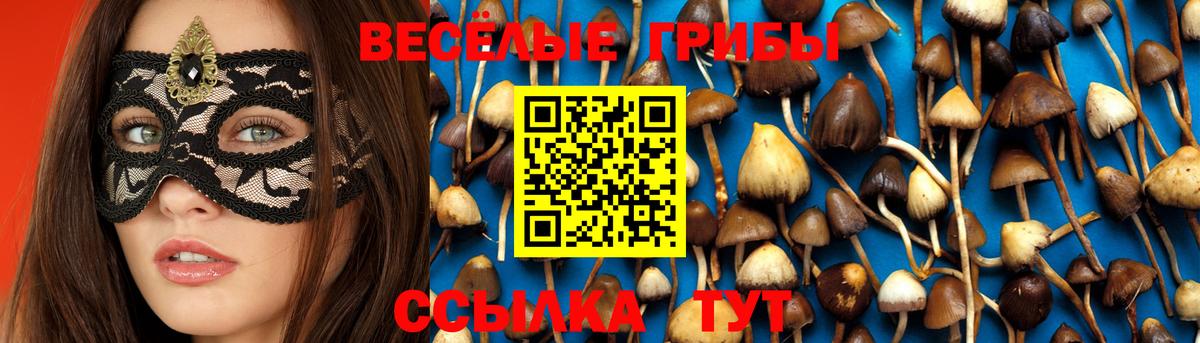 Псилоцибиновые грибы мухоморы  Галлюциногенные грибы GOLDEN TEACHER  Красный Сулин  Вход с VPN 
